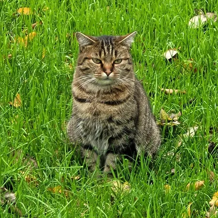 Couette-café Aumônerie Du Prieuré